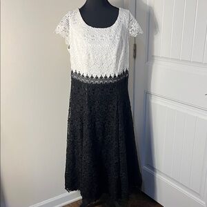 Elegant Two-Tone Lace Midi Dress